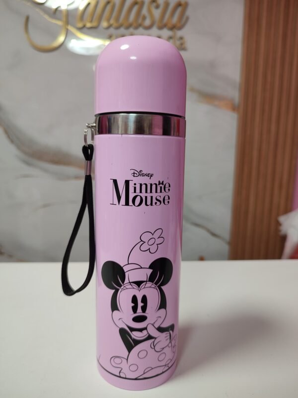 Termo Disney