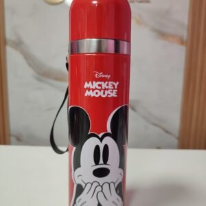 Termo Disney