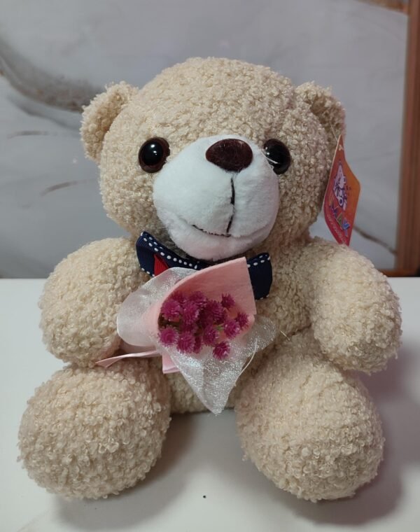 Peluche Oso